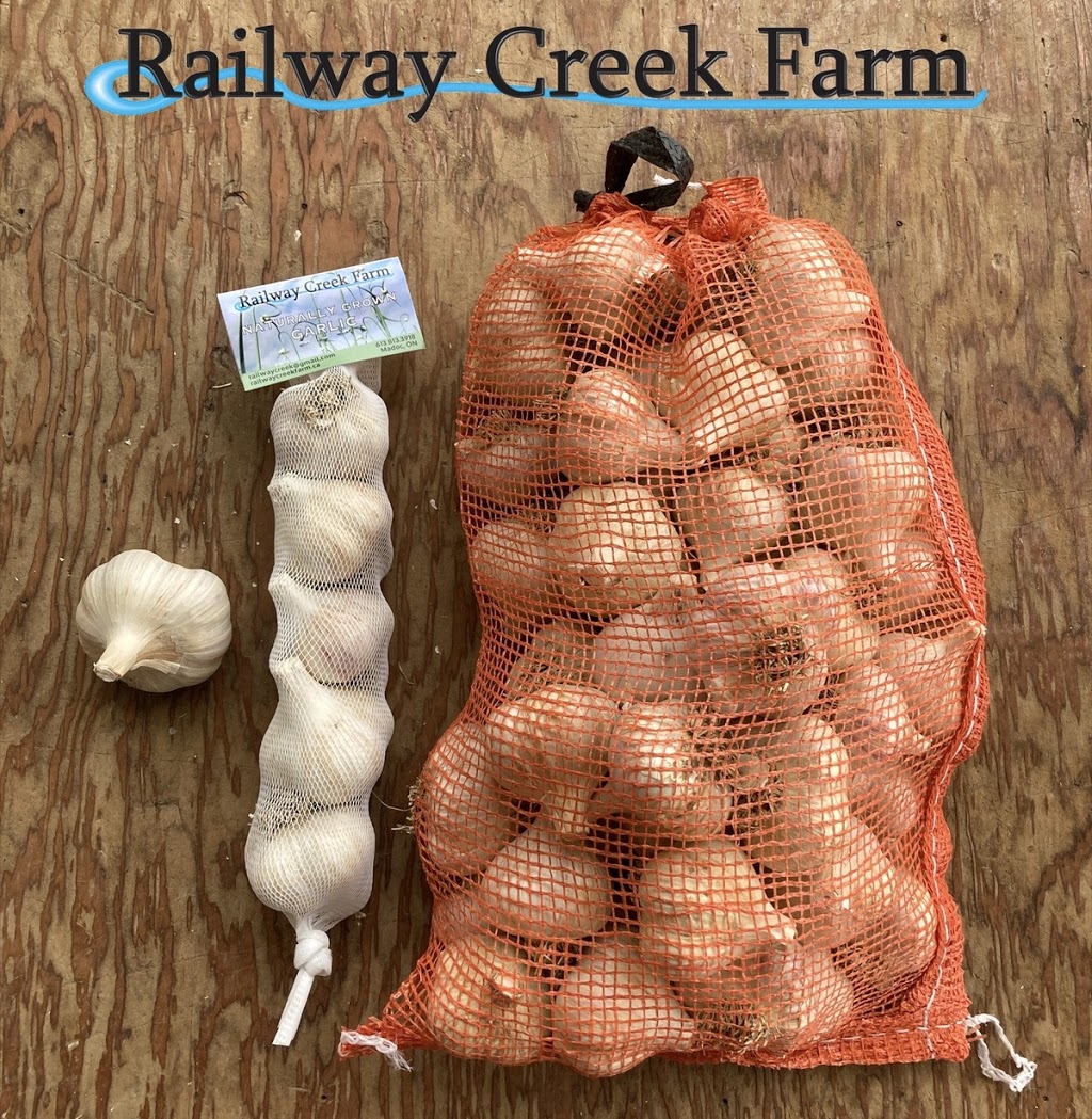 Railway Creek Farm | 2601 Cooper Rd, Madoc, ON K0K 2K0, Canada | Phone: (613) 813-3918