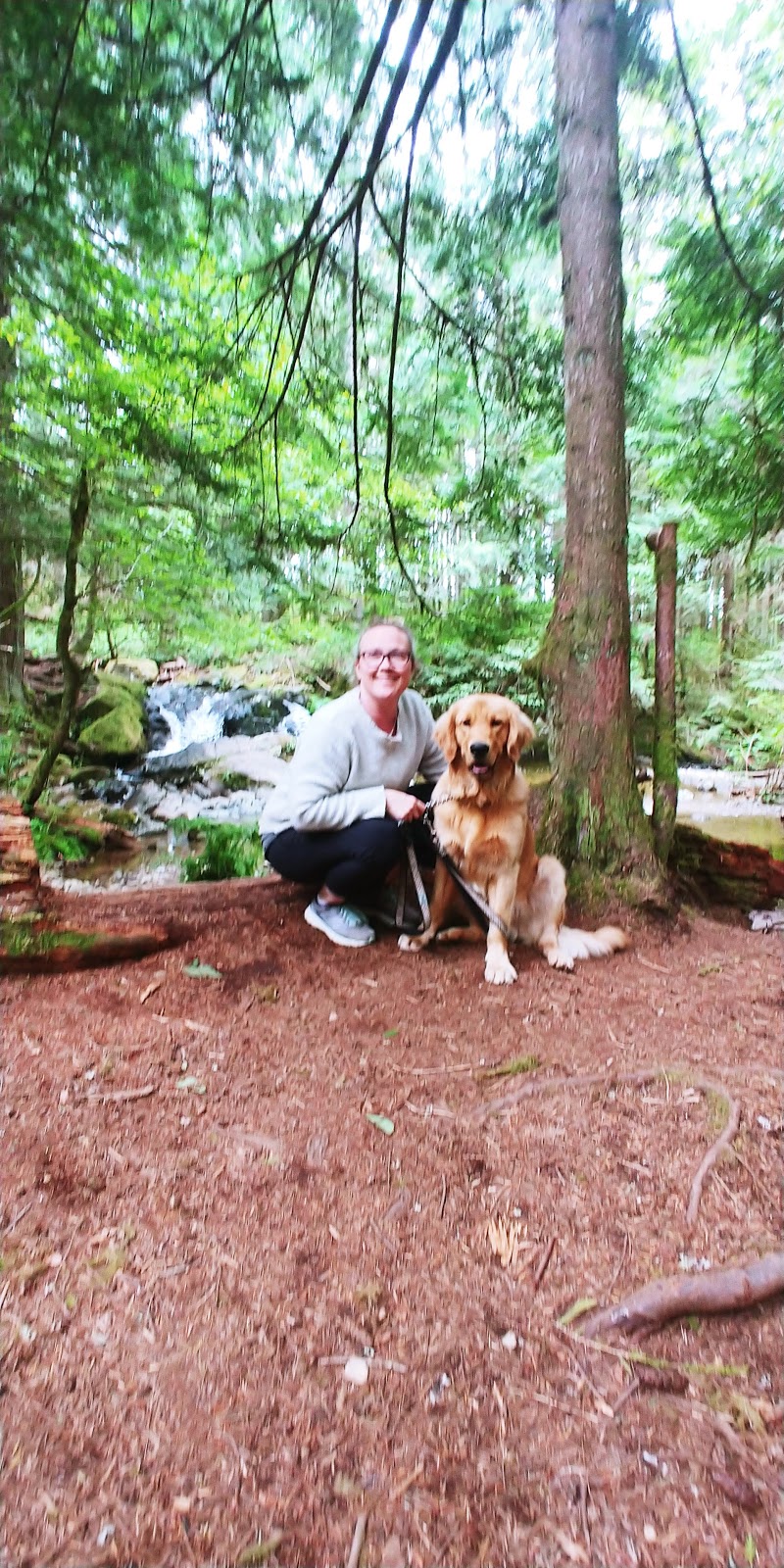 Homesite Creek Campground | 9844 Sunshine Coast Hwy, Halfmoon Bay, BC V0N 1Y2, Canada | Phone: (604) 883-9307