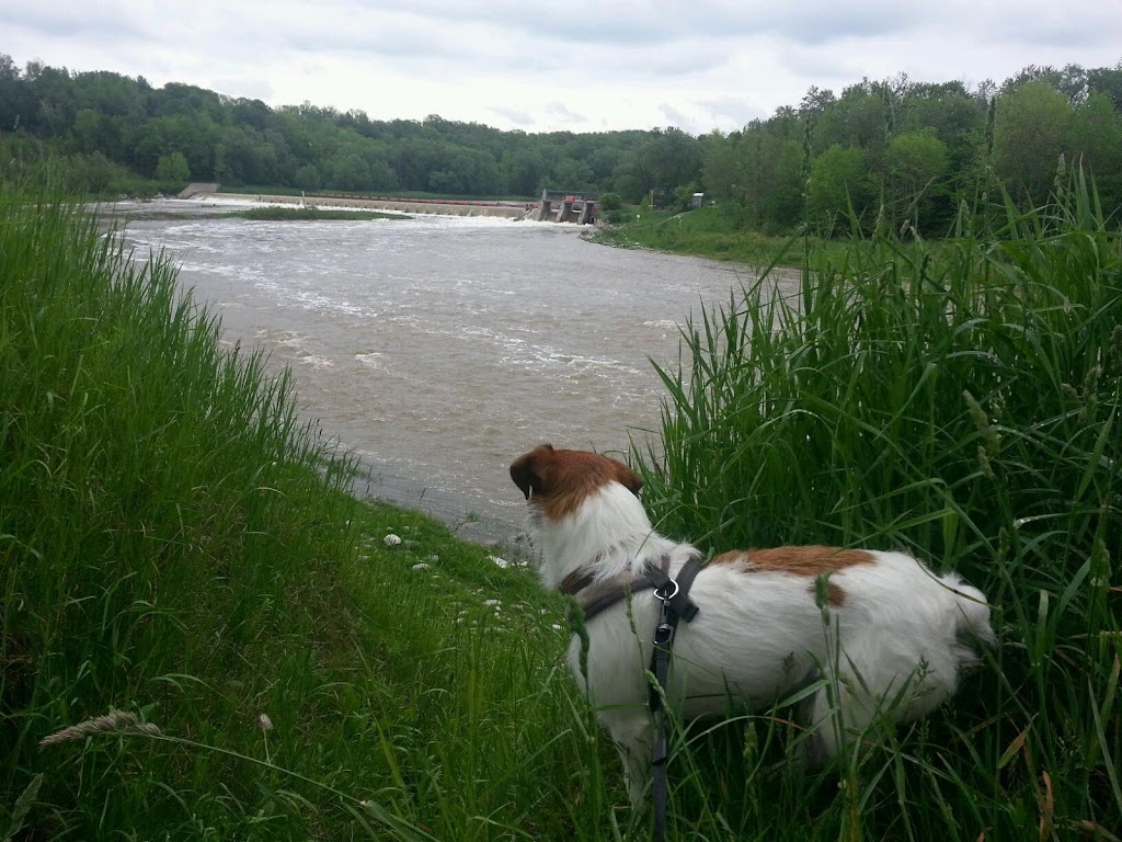 Dennys Dam Conservation Area | Dennys Dam Rd, Southampton, ON N0H 2L0, Canada | Phone: (519) 756-7781 ext. 227
