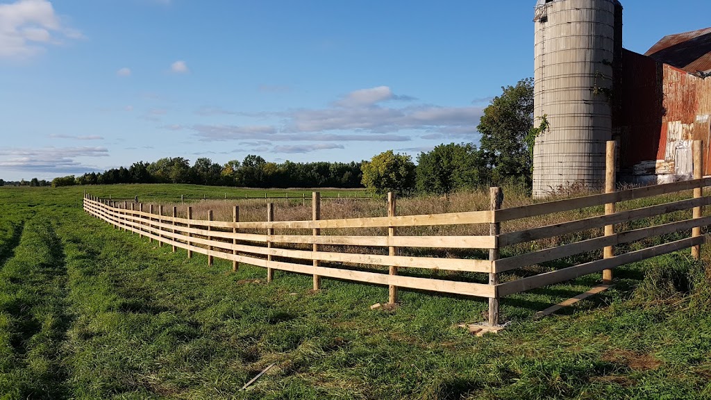Putnam Farms | 53 Huffman Rd, Yarker, ON K0K 3N0, Canada | Phone: (613) 817-6542