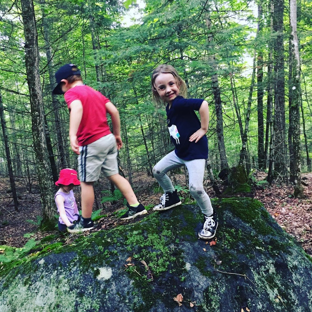 Deep Roots Adventure | 4071 Elephant Lake Rd Unit C, Harcourt, ON K0L 1M1, Canada | Phone: (705) 854-0628