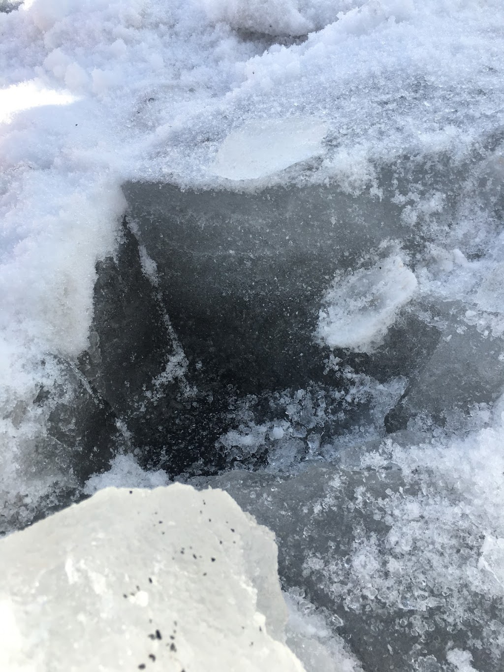 DAL Roofing | 354 Somerside Park SW, Calgary, AB T2Y 3G7, Canada | Phone: (403) 474-6375