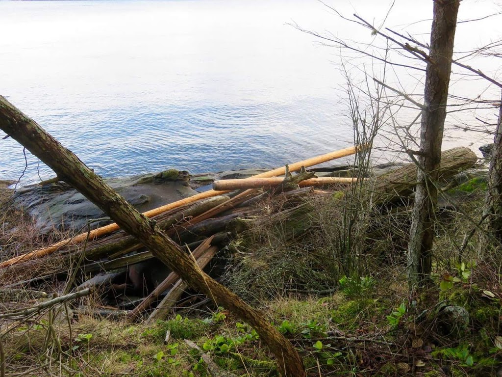 Winter Cove Marine Park | Church Bay Rd, Saturna, BC V0N 2Y0, Canada