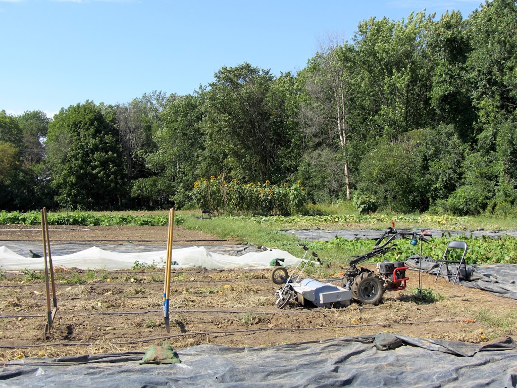 Ferme de Santropol Roulant | 269 Ch Senneville, Senneville, QC H9X 3X8, Canada | Phone: (514) 284-9335
