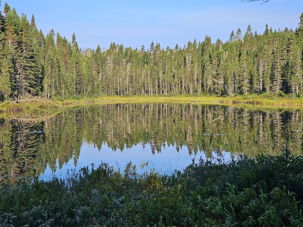 ZEC Lac-de-la-Boiteuse | 699 Chemin du Lac-à-lOurs, Bégin, QC G0V 1B0, Canada | Phone: (418) 544-0129