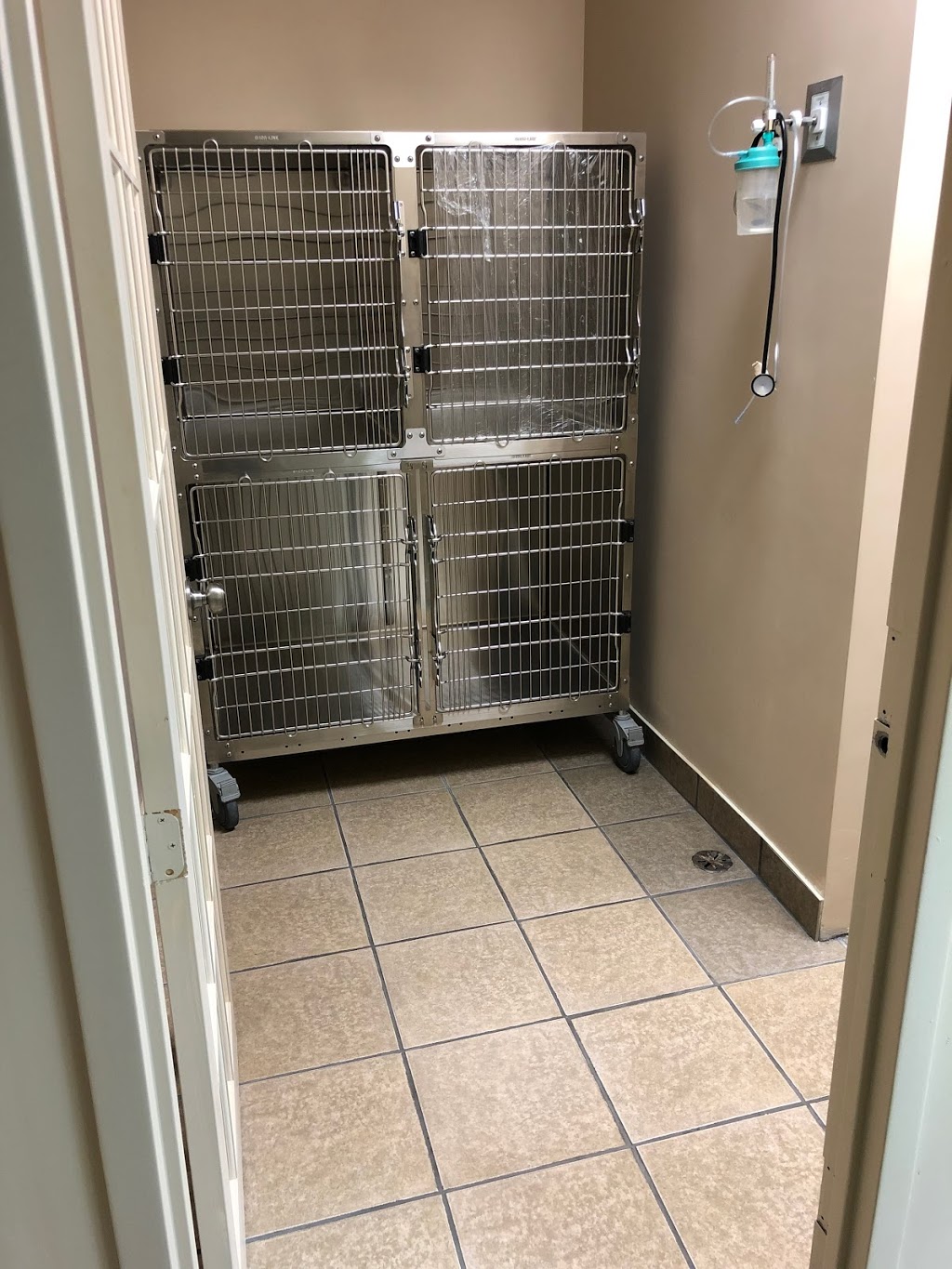 Fallsview Veterinary Clinic | 6144 McLeod Rd, Niagara Falls, ON L2G 7P5, Canada | Phone: (289) 296-2172
