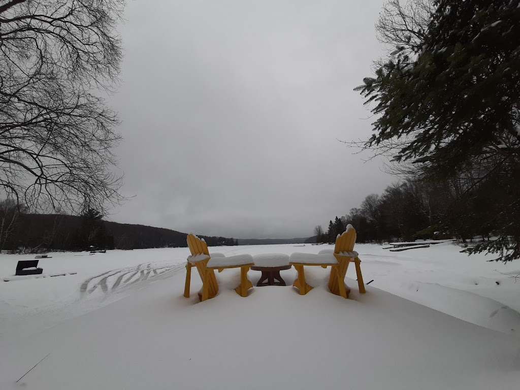 Max M K. | 190 Ridgeview Rd, Haliburton, ON K0M, Canada | Phone: (416) 801-8120