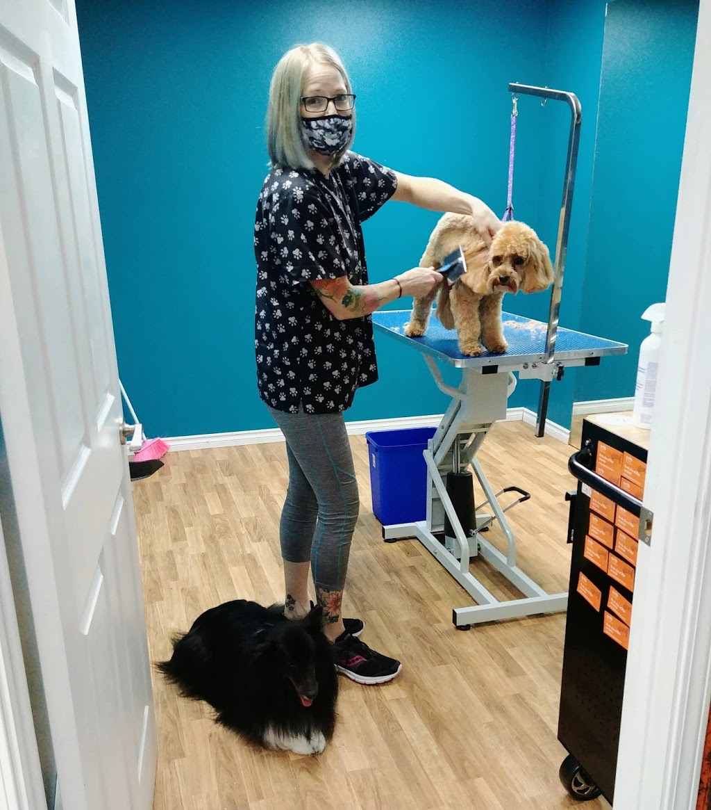 Fur the Love of Dogs | 591 Wallace St, Hope, BC V0X 1L4, Canada | Phone: (604) 206-0023