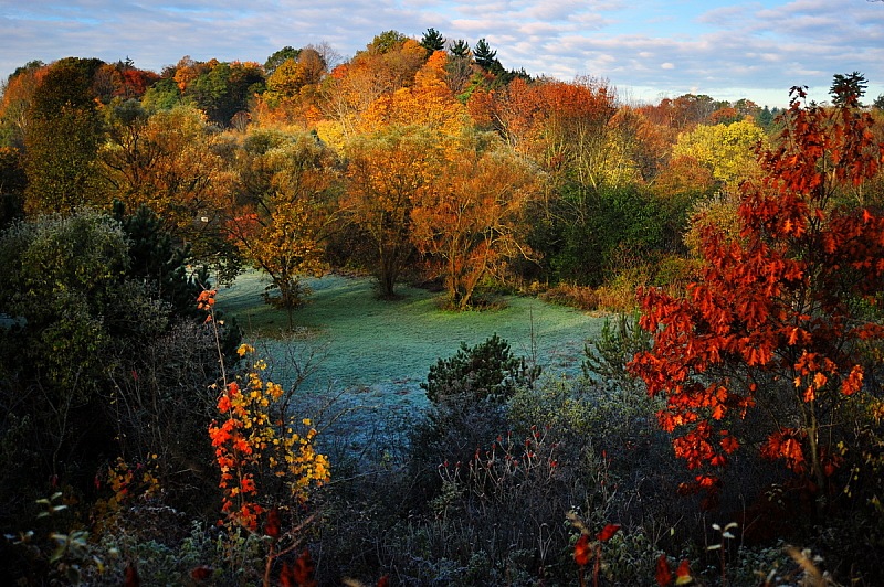 Wilket Creek Park | Toronto, ON M3C, Canada | Phone: (416) 338-4386