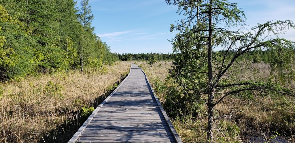 Brokenhead Wetland Interpretive Trail | 1 km south of and 12, 59 Provincial Trunk Hwy 12, Beaconia, MB R0E 0B0, Canada | Phone: (204) 250-4359