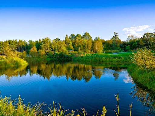 Dragonfly Golf Links At Renfrew | 955 Opeongo Rd, Renfrew, ON K7V 3Z5, Canada | Phone: (613) 432-3838