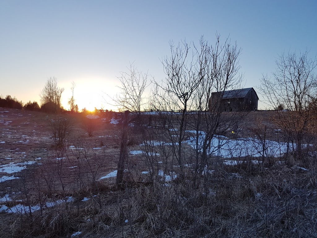 Underworld LARP | 36 Walkers Rd, Fenelon Falls, ON K0M 1N0, Canada | Phone: (416) 346-4523
