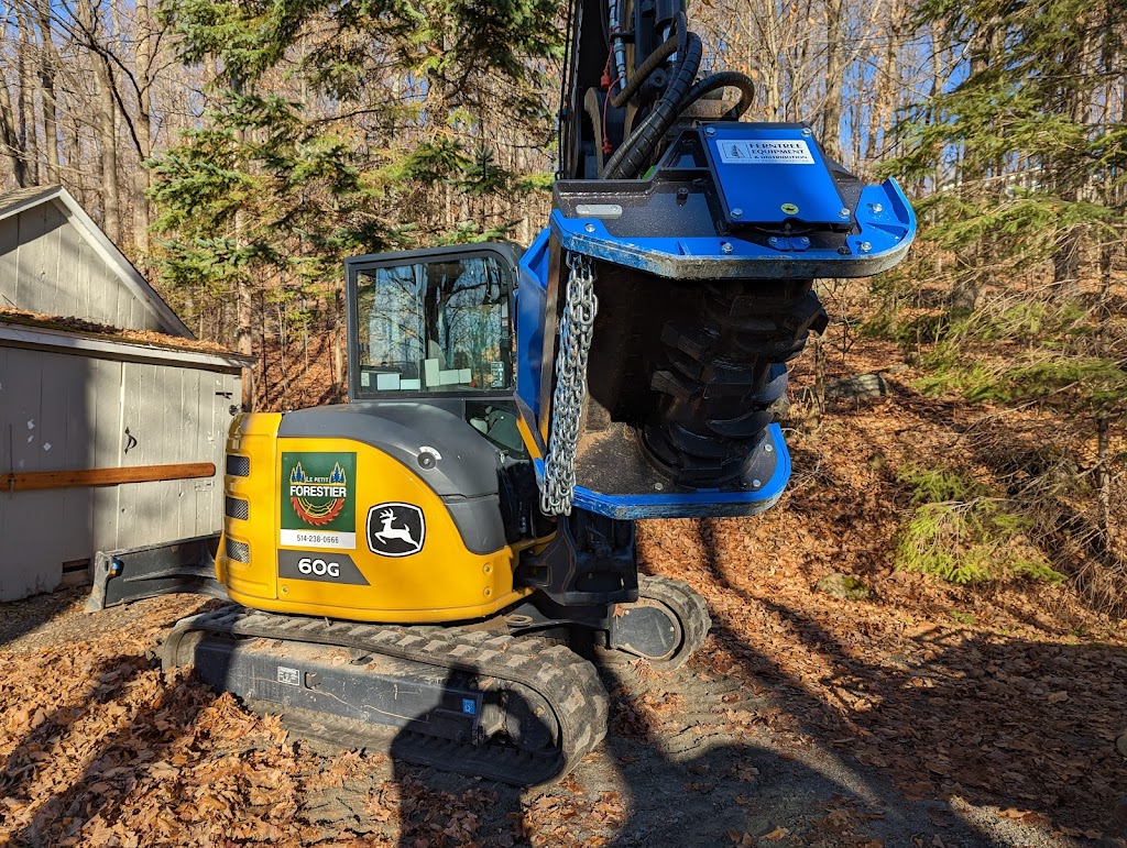 LE PETIT FORESTIER | 500 Chem. Gillespie, Sainte-Agathe-des-Monts, QC J8C 0X6, Canada | Phone: (514) 238-0666