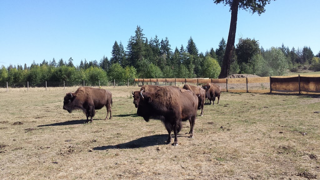 Morning Star Bison Ranch. Ranch Tours. Meat Sales | 965 Spruston Rd, Nanaimo, BC V9X 1S9, Canada | Phone: (250) 713-3111