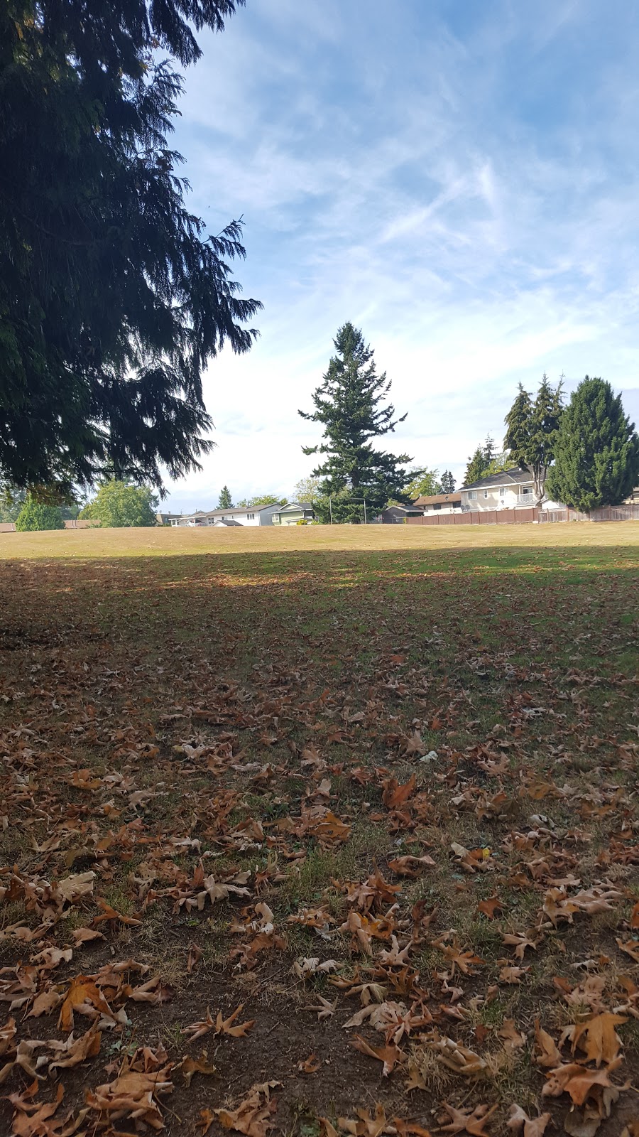 Betty Huff Park | 13055 Huntley Ave, Surrey, BC V3V 1V1, Canada