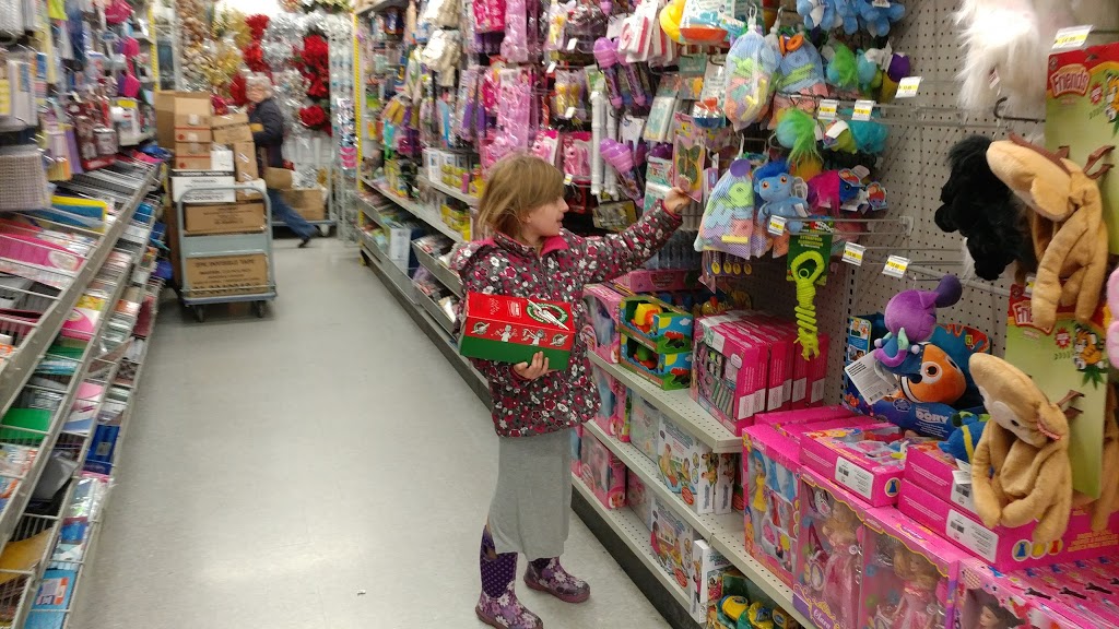 Dollarama | 50 Market St. S., Market Square, Brantford, ON N3S 2E3, Canada | Phone: (226) 250-3026