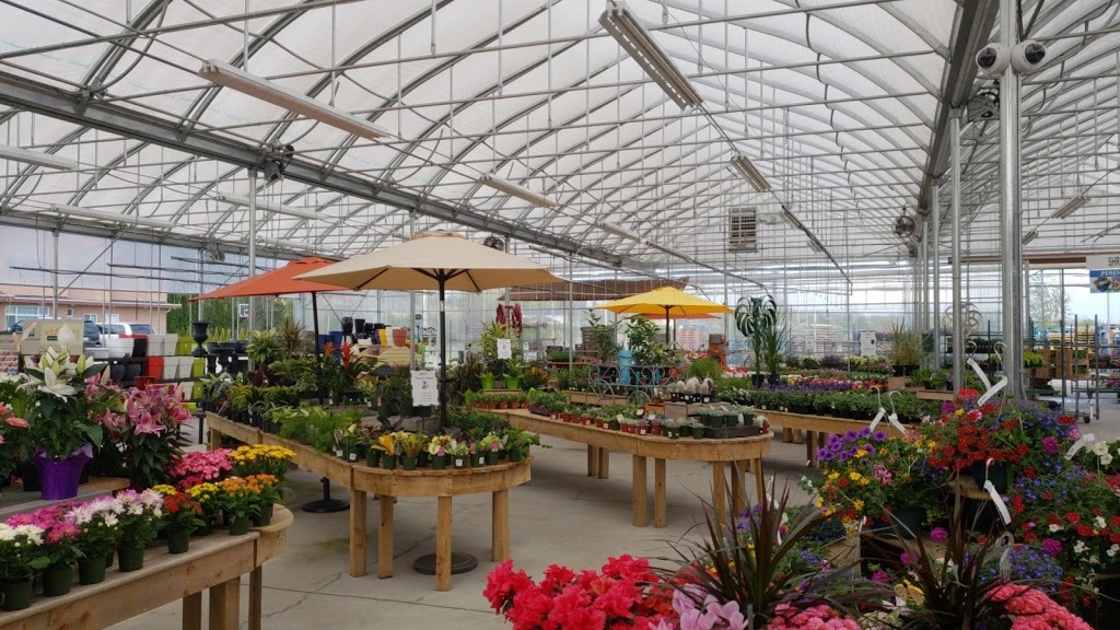 Cloverdale Country Market | 5688 168 St, Surrey, BC V3W 4C8, Canada | Phone: (604) 575-7818