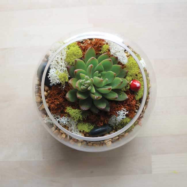 Plant Life | 522 Whitewood Crescent, Saskatoon, SK S7J 4L1, Canada | Phone: (306) 514-2251