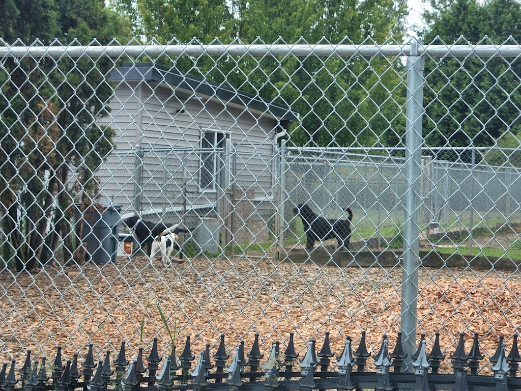 Argos Pet Ranch Boarding & Daycare | 18030 32 Ave, Surrey, BC V3S 0L5, Canada | Phone: (604) 807-3023