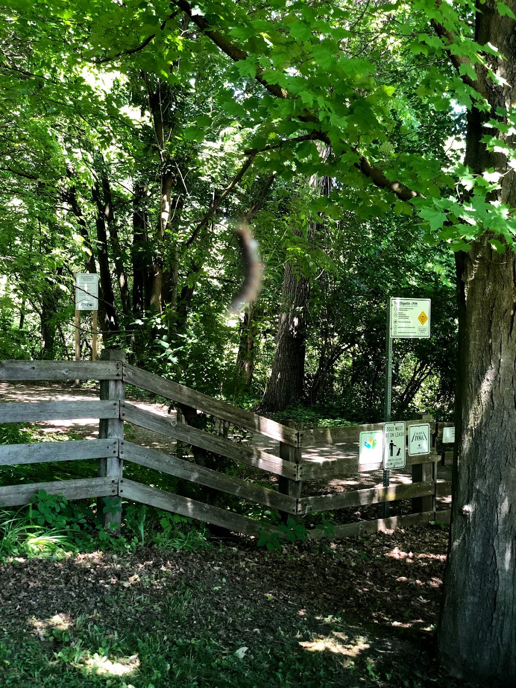 Caledon Trailway, start of the trail | Caledon Trailway Path, Caledon, ON L0P 1N0, Canada | Phone: (905) 584-2272 ext. 4235