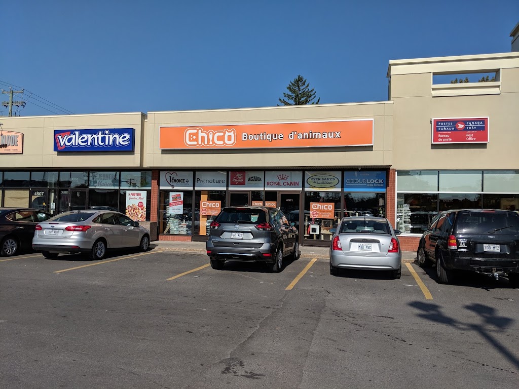 Chico Animalerie | 4511 Bd Arthur-Sauvé, Laval, QC H7R 5P8, Canada | Phone: (450) 314-2442