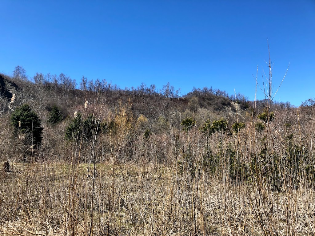 Scarborough Bluffs | Bluffers Park, Scarborough, ON, Canada