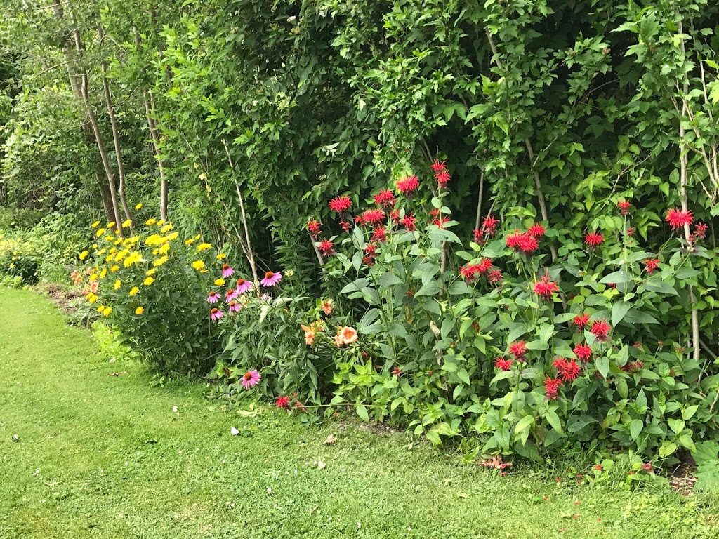 Turkey Point Cottages | 89 Cedar Dr, Turkey Point, ON N0E 1T0, Canada | Phone: (289) 259-3098