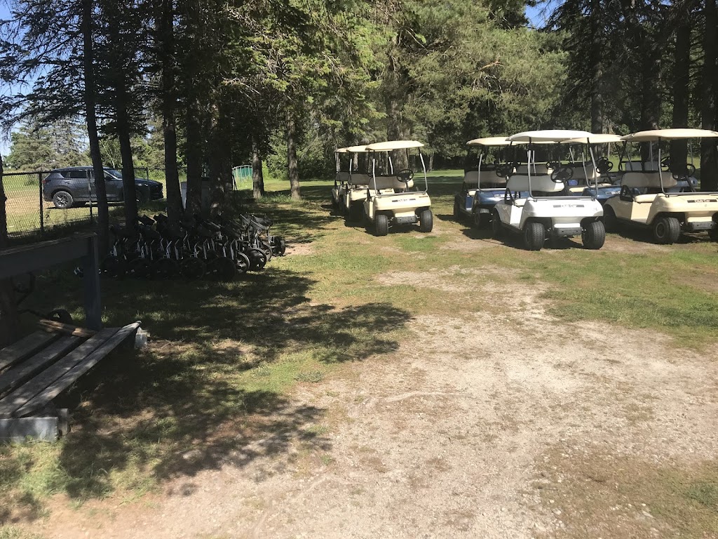 Pinewoods Golf CTR | 661 Bruce County Rd 8, Hepworth, ON N0H 1P0, Canada | Phone: (519) 422-1546