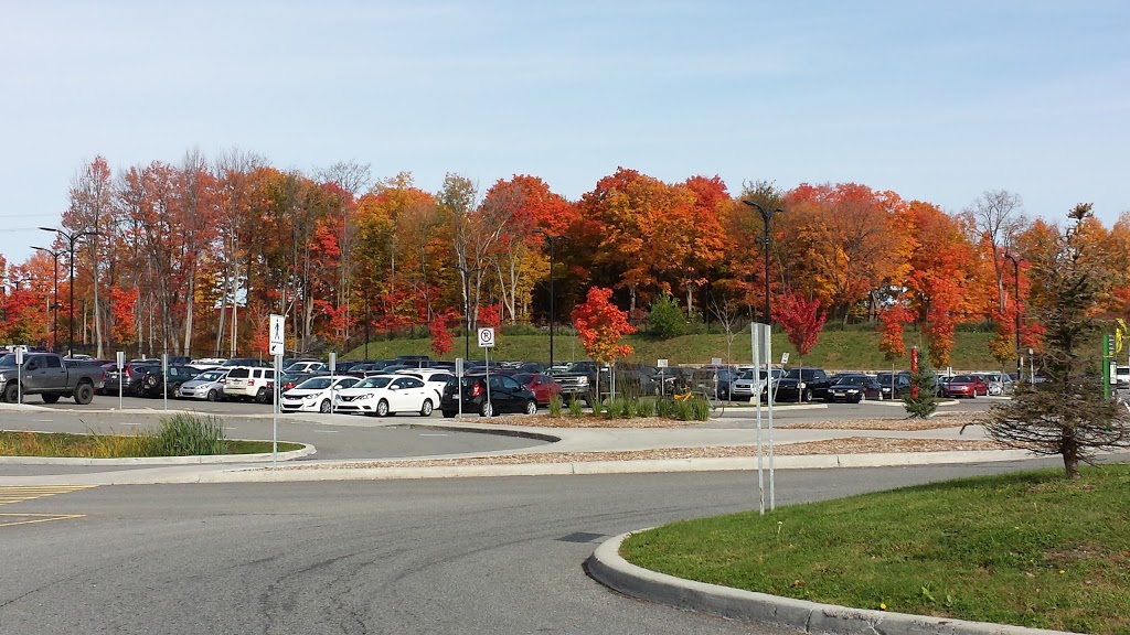 Parc Saint-René | 238 Boulevard Saint-René E, Gatineau, QC J8P, Canada | Phone: (866) 299-2002
