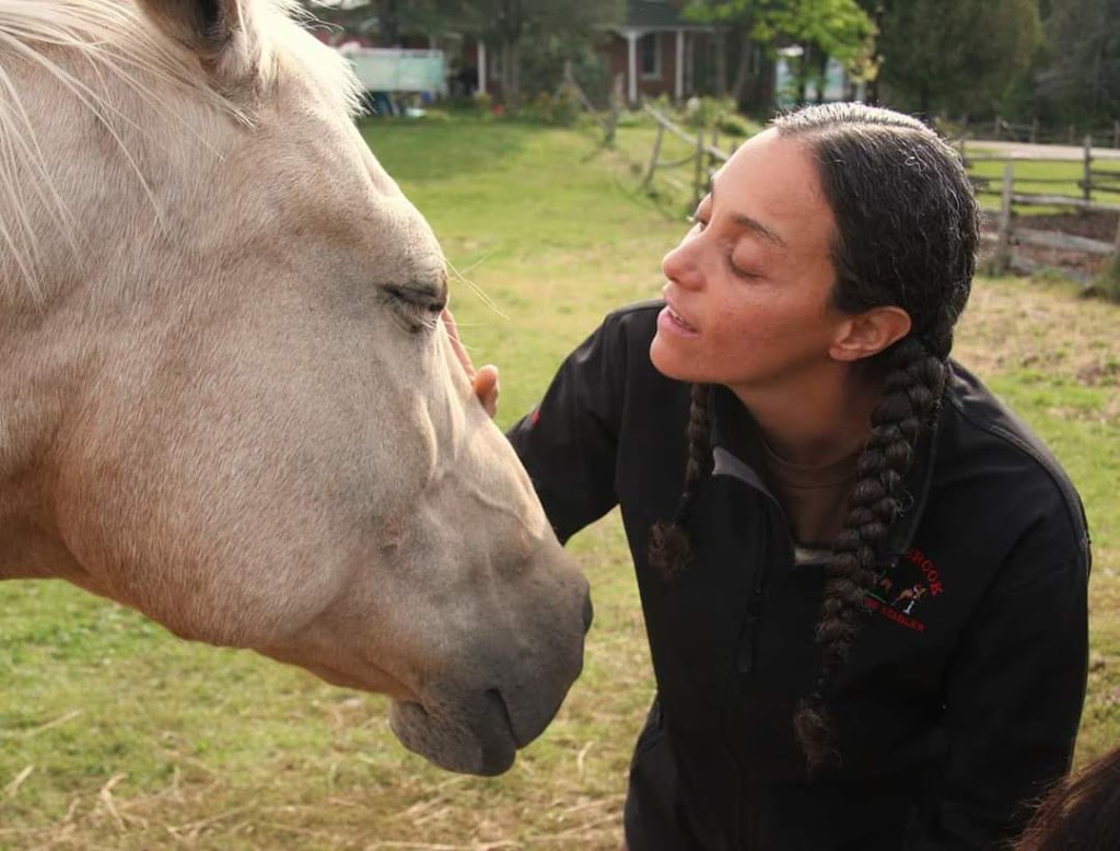 Horse Medicine Collective | 2004 7 Line, Peterborough, ON K9J 6X5, Canada | Phone: (705) 957-6925
