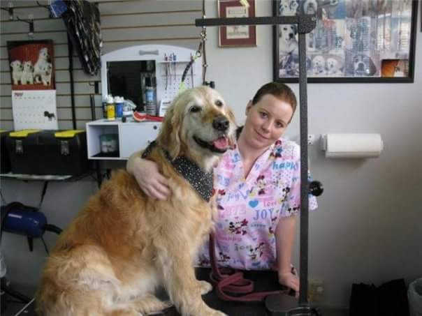 Shake A Paw Doggie Spa | RR1, 6672 Wellington 16, Belwood, ON N0B 1J0, Canada | Phone: (226) 820-2815