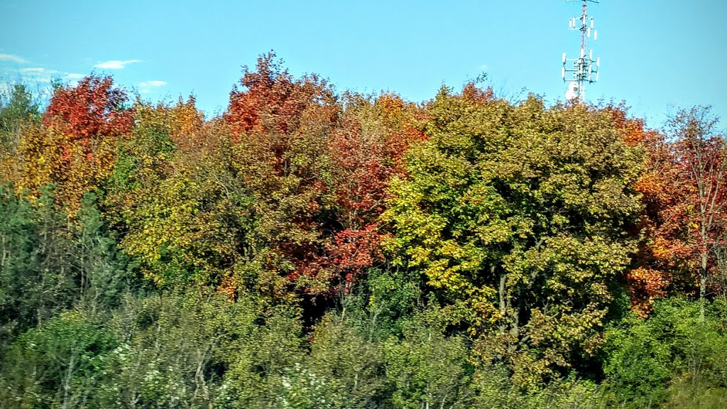 Ecological Farmers Association of Ontario | Orchard Park Office Centre, 5420 ON-6, Guelph, ON N1H 6J2, Canada | Phone: (519) 822-8606