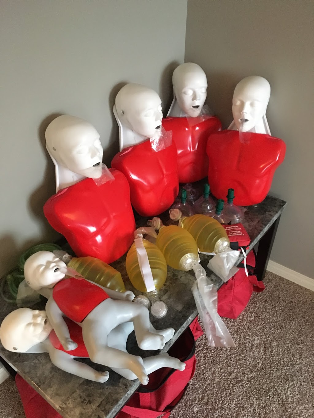 Cochrane Emergency Training Services | 150 Heritage Landing, Cochrane, AB T4C 0E3, Canada | Phone: (403) 585-5286