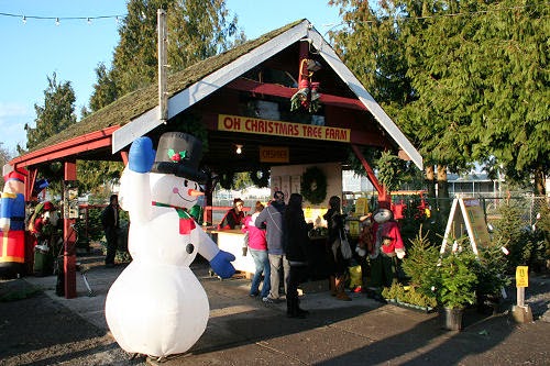 Oh Christmas Tree Farm | 21858 Maxwell Crescent, Langley City, BC V2Y 2P9, Canada | Phone: (604) 805-5052