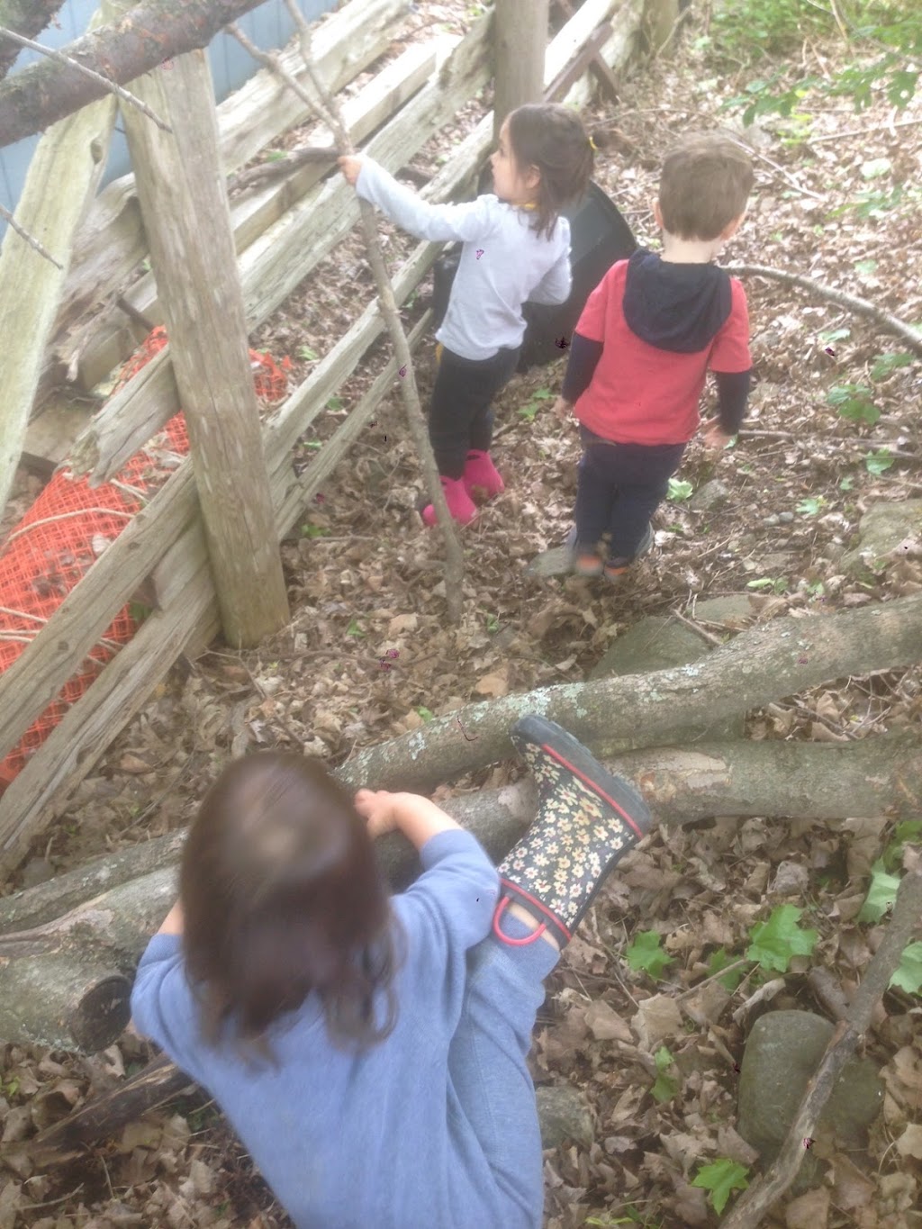 Rigbee Childminding | 17277 Old Main St, Belfountain, ON L7K 0E5, Canada | Phone: (647) 646-8083
