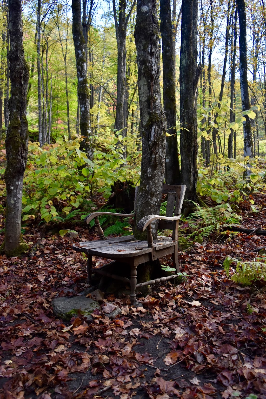 Parc des chutes de Denholm | 830 Chemin Paugan, Denholm, QC J8N 9B7, Canada | Phone: (819) 457-2992