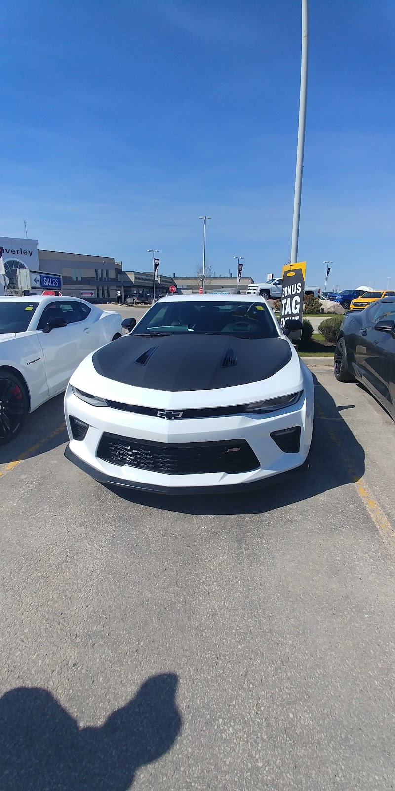 Murray Auto Group | 1700 Waverley St, Winnipeg, MB R3T 5V7, Canada