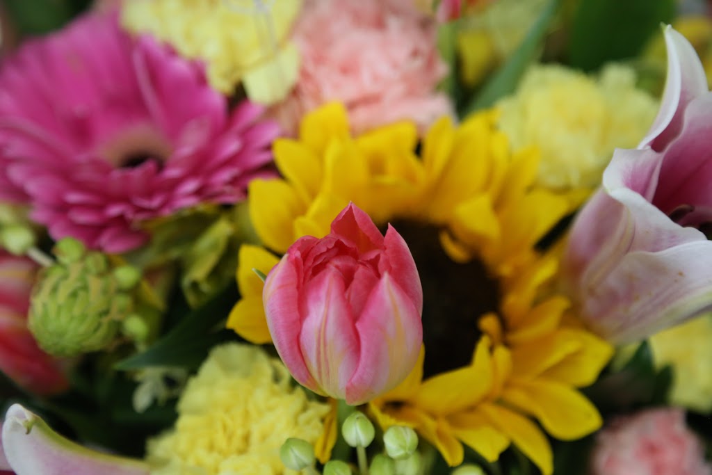 Panda Flowers | 388 Country Hills Blvd NE #256, Calgary, AB T3K 5J6, Canada | Phone: (403) 226-7673