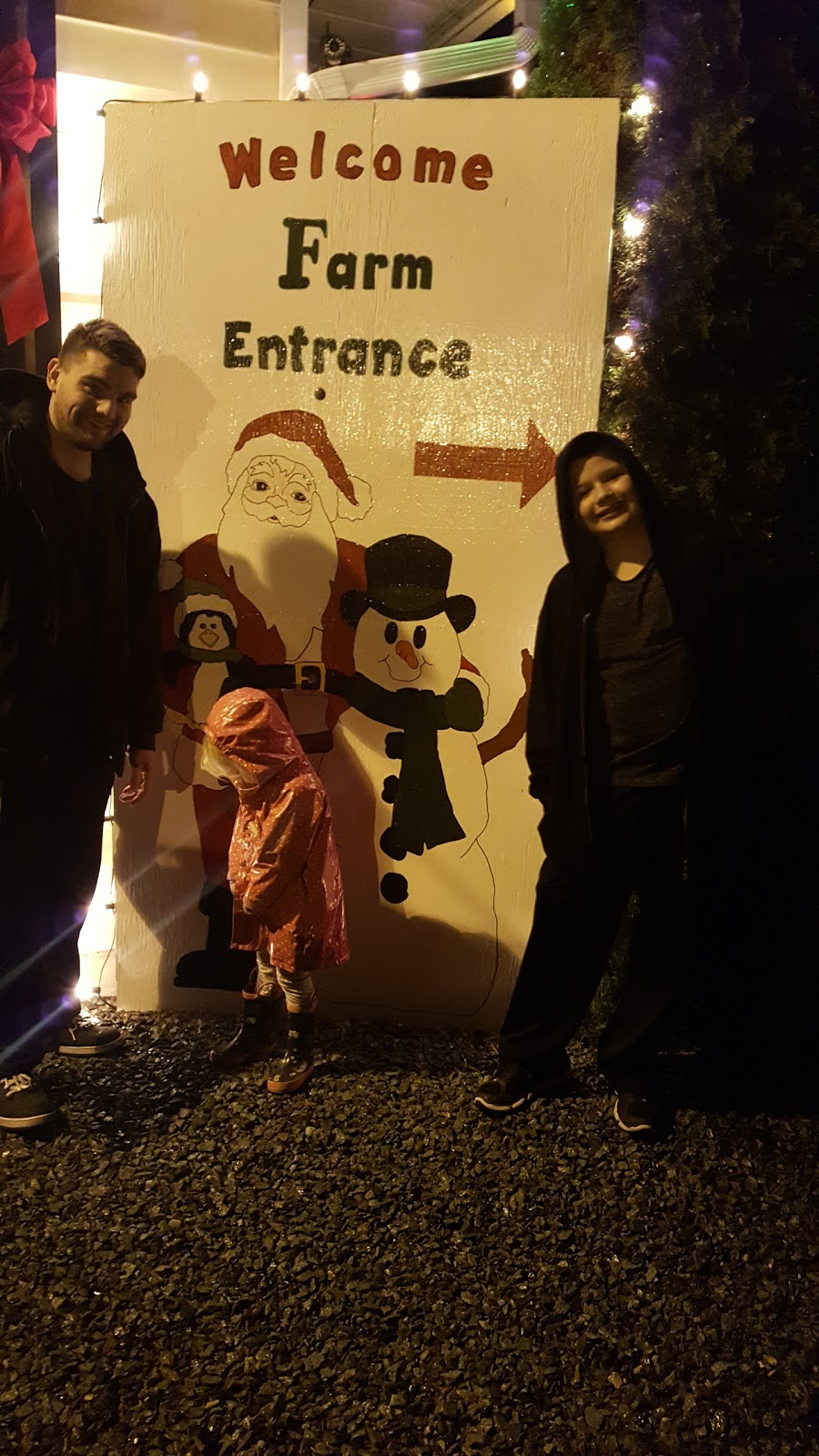 Frostys Family Christmas Tree | 24488 52 Ave, Langley Twp, BC V2Z 1E1, Canada | Phone: (604) 856-4889