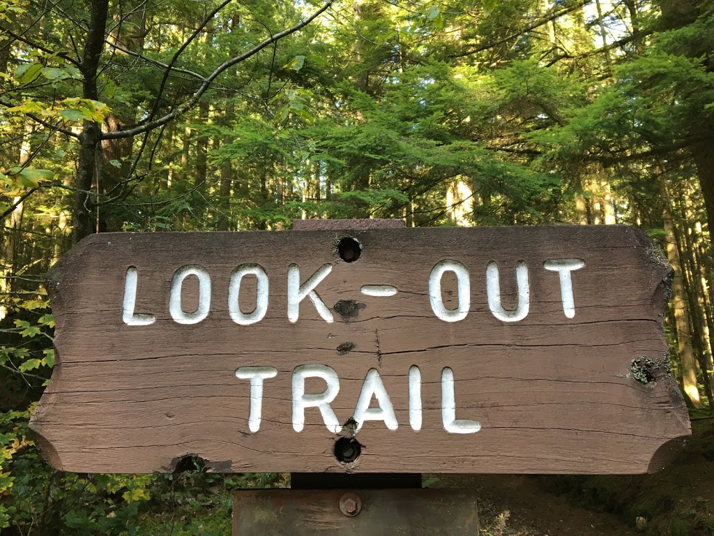 Lookout Trail | Golden Ears Pkwy, Maple Ridge, BC V0M, Canada