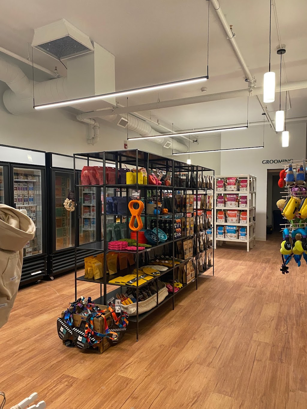 East Coast Dog | 3180 Isleville St, Halifax, NS B3K 3Y3, Canada | Phone: (902) 200-8332