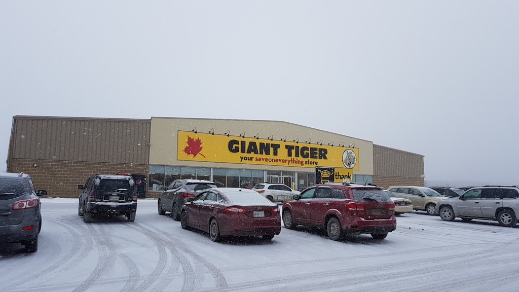 Giant Tiger | 547 Grand Rd, Campbellford, ON K0L 1L0, Canada | Phone: (705) 632-1377