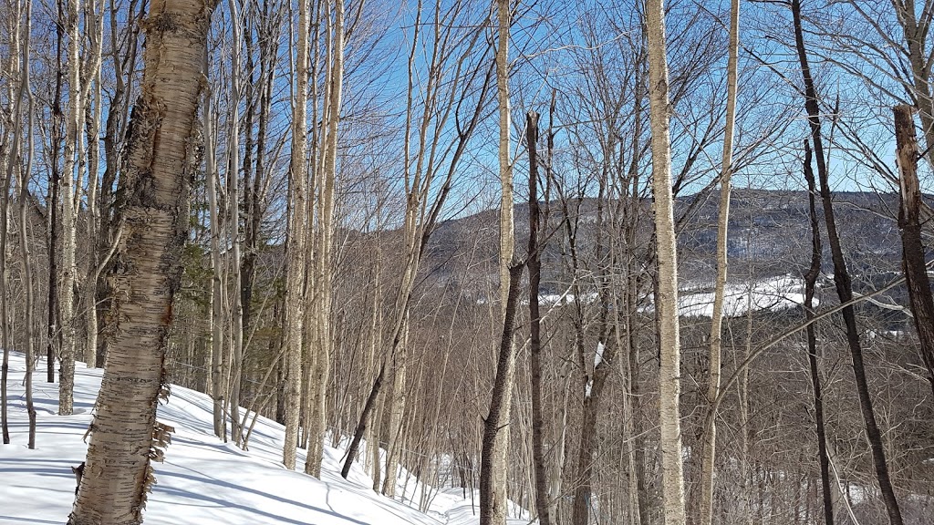 Camping et chalets ETSANHA | 1410 Route du Bras-du-Nord, Saint-Raymond, QC G3L 3J1, Canada | Phone: (418) 337-4184