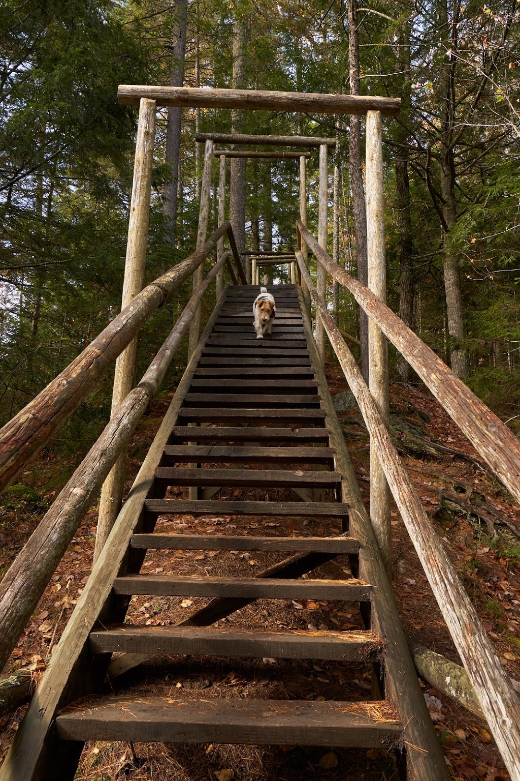 Parc des Sept-Chutes | 570 25e Av, Saint-Georges, QC G5Z 1G7, Canada | Phone: (418) 228-8151