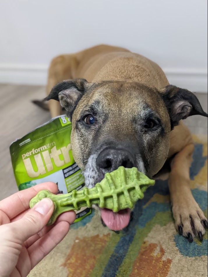 Pet Valu | 12 Elizabeth St, Brighton, ON K0K 1H0, Canada | Phone: (613) 475-4050
