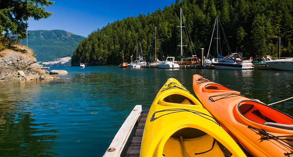Island Appliance | 467 Melmore Rd, Bowen Island, BC V0N 1G1, Canada | Phone: (604) 947-2232