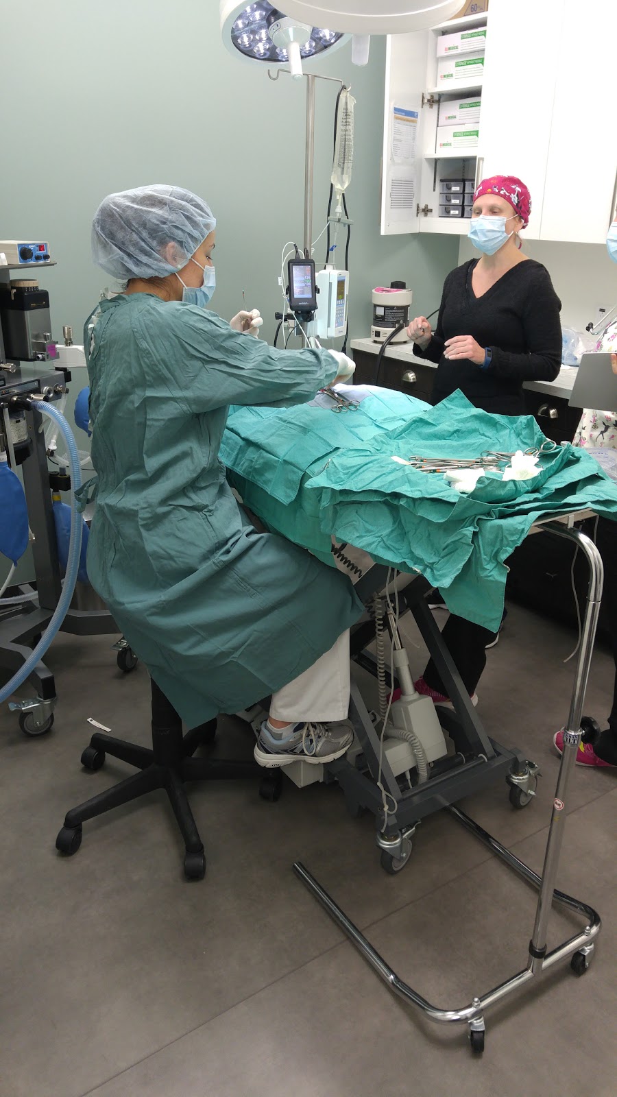 Hôpital Vétérinaire Passion Compassion | 650 Rue de Montbrun #106, Boucherville, QC J4B 8G9, Canada | Phone: (450) 906-6090