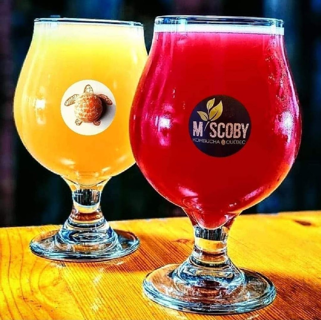 M. Scoby - Kombucha Québec | 209 Rue Saint-Damase, Drummondville, QC J2B 3B8, Canada | Phone: (450) 502-4934