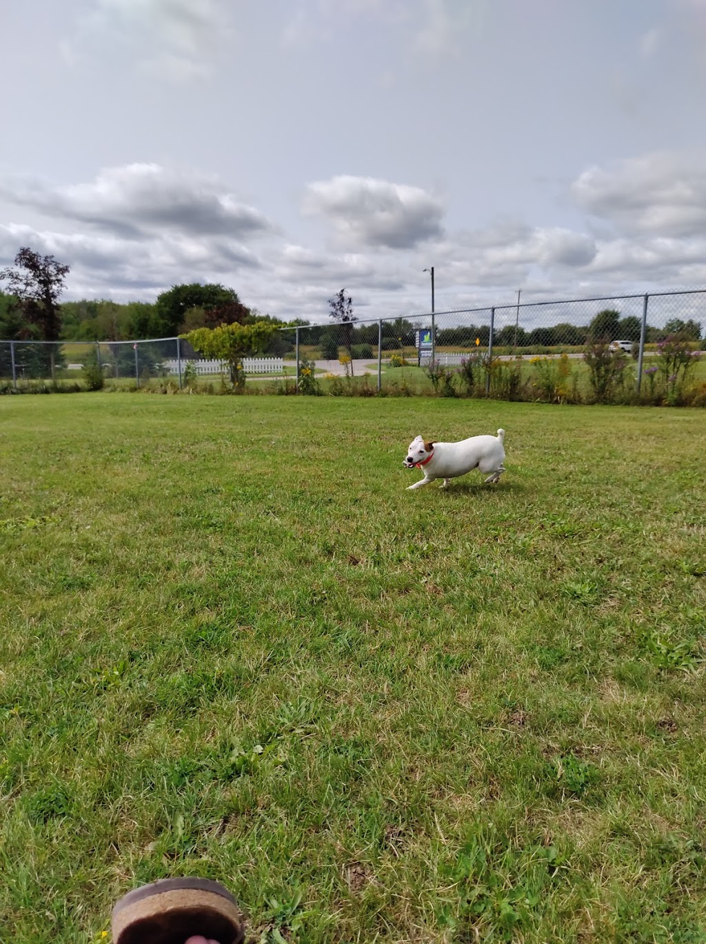Pinetree Pet Resort | 5951 ON-6, Guelph, ON N1H 6J2, Canada | Phone: (519) 787-9934