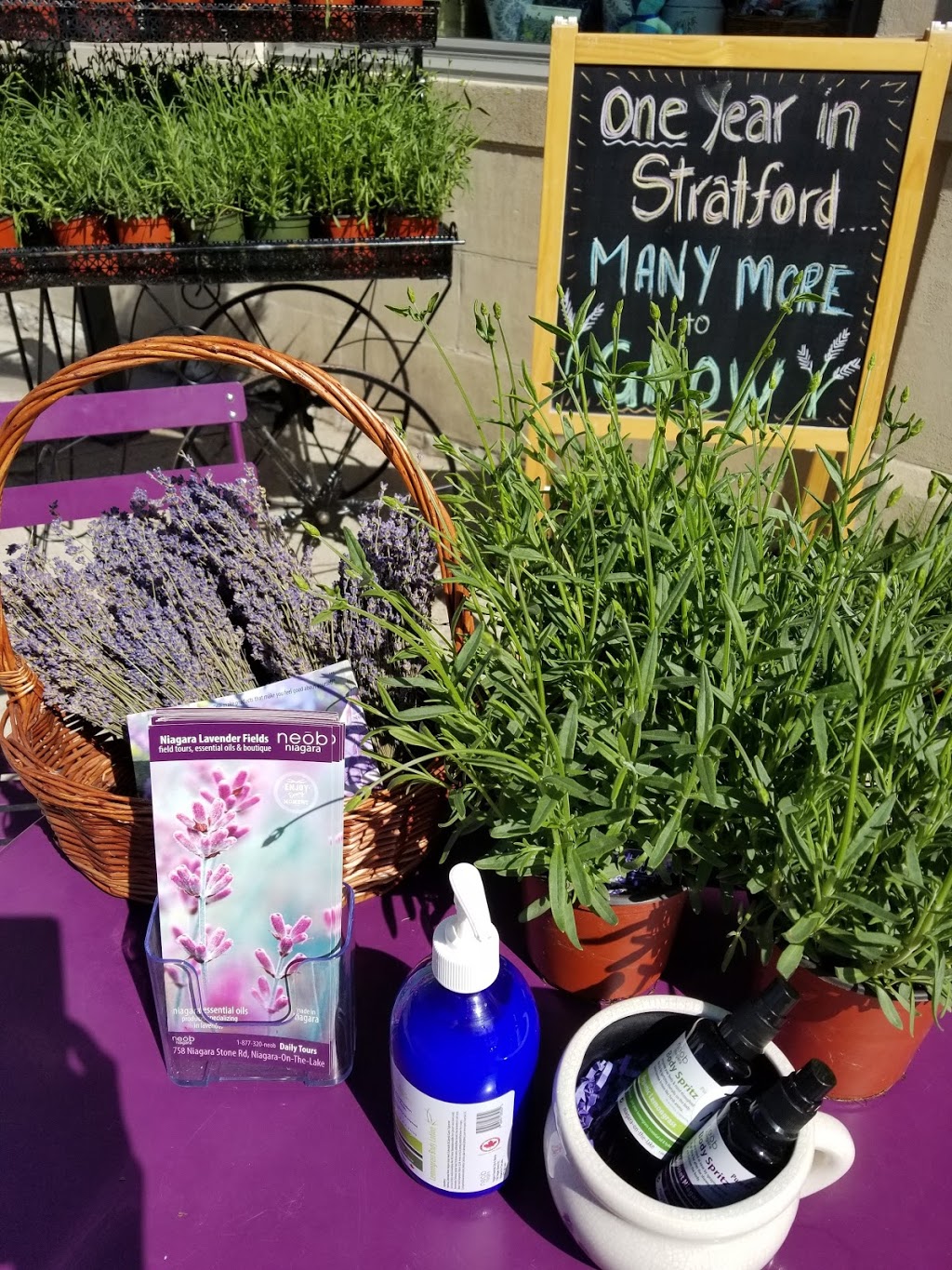 neob lavender | 106 Ontario St, Stratford, ON N5A 3H2, Canada | Phone: (519) 271-1108